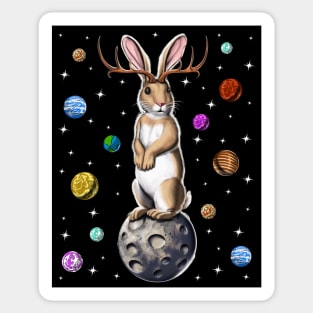 Jackalope Rabbit Sticker